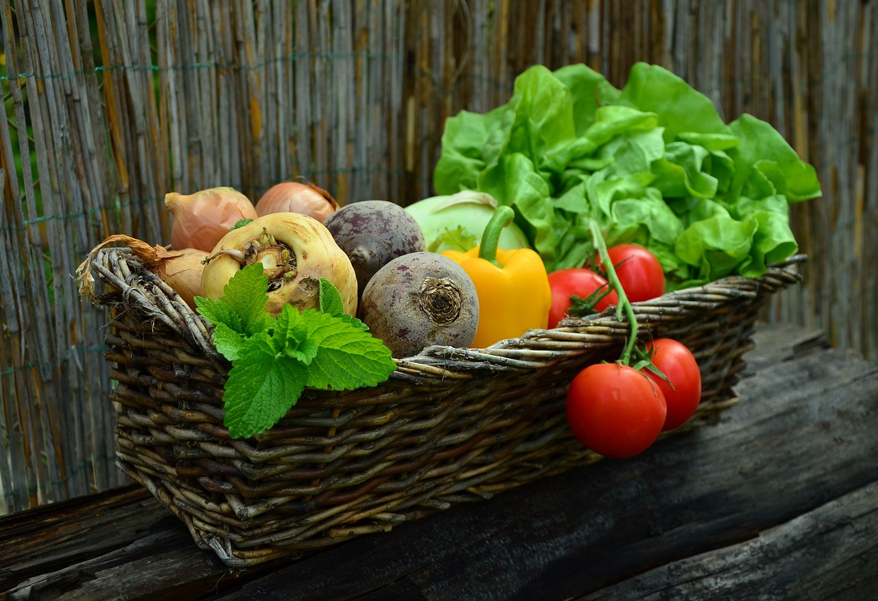 Wicker basket of harvested vegetables and salad