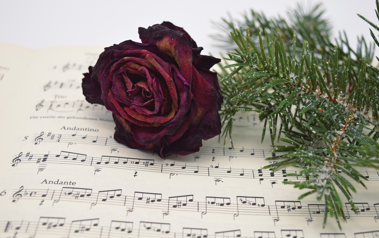 Rose and green branch on sheet music